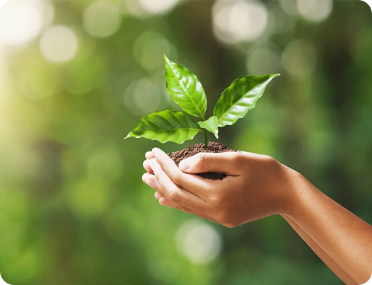 江蘇鼎順医療製品有限公司